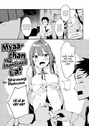 Miyaa-chan Chú mèo bị bỏ rơi
