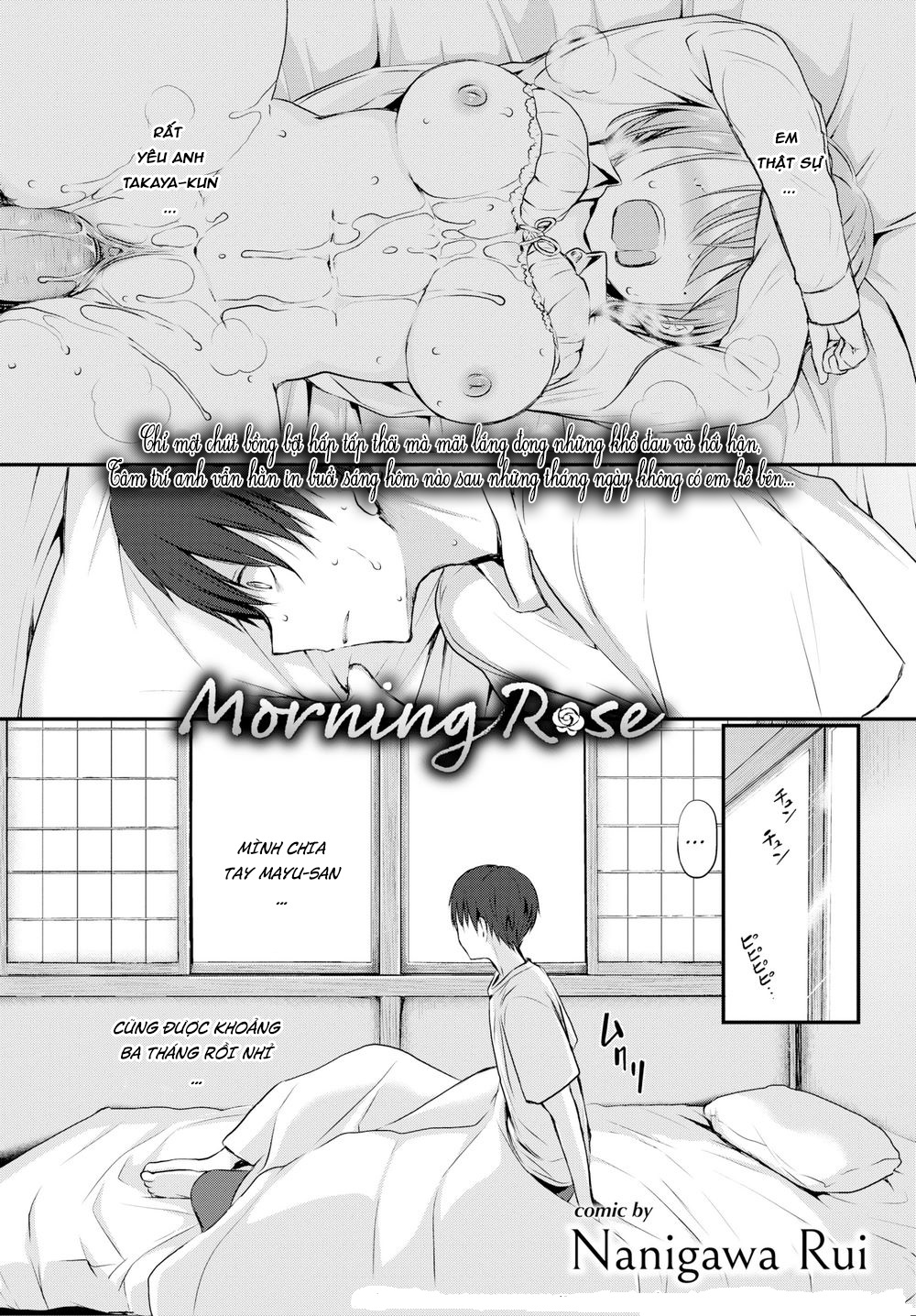 Đóa Hồng Sớm Mai!